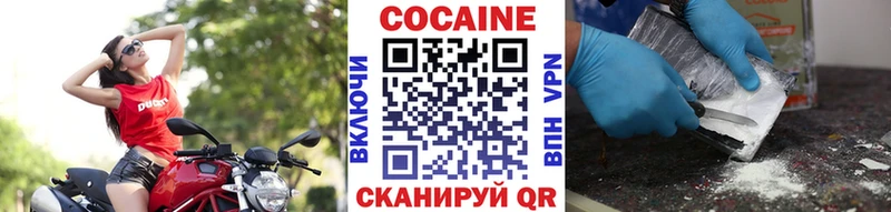 COCAIN FishScale  Купить  Зима 