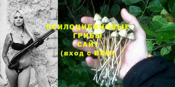 прущий лед Краснослободск