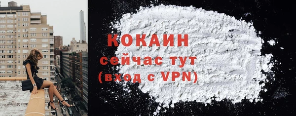 мдпв Кулебаки