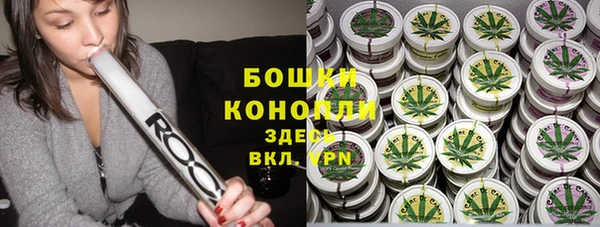 молекула духа Куйбышев