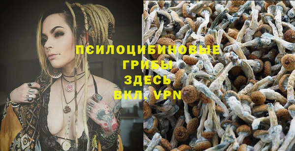 винт Кукмор