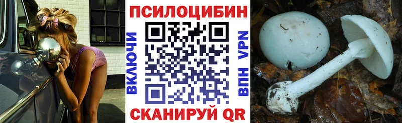 Купить где  Зима  Псилоцибиновые грибы мухоморы 